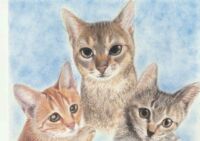 cat×２