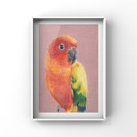 コガネメキシコインコ