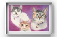 cats3