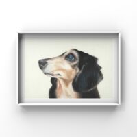 dax