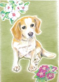 ミィの作品