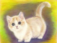 ミイの作品